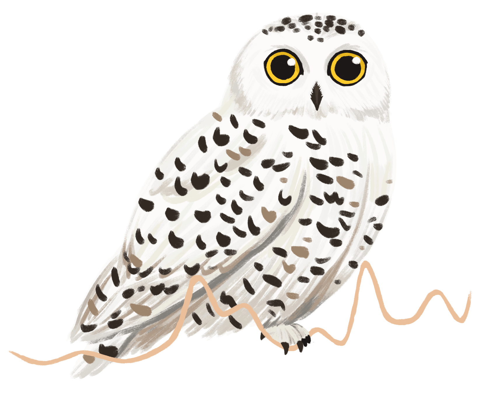 A Snowy Owl sitting on a line chart