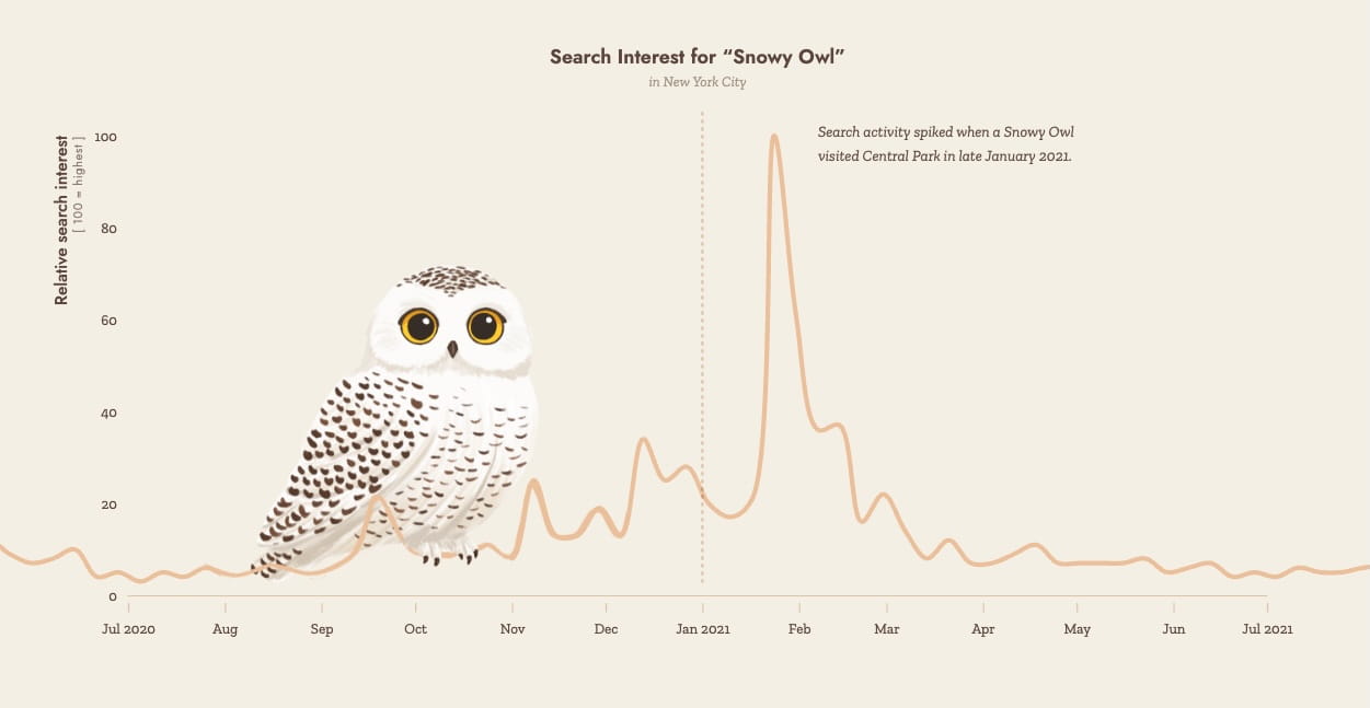 The Google Trend spike during January 2021 in New York for Snowy Owl