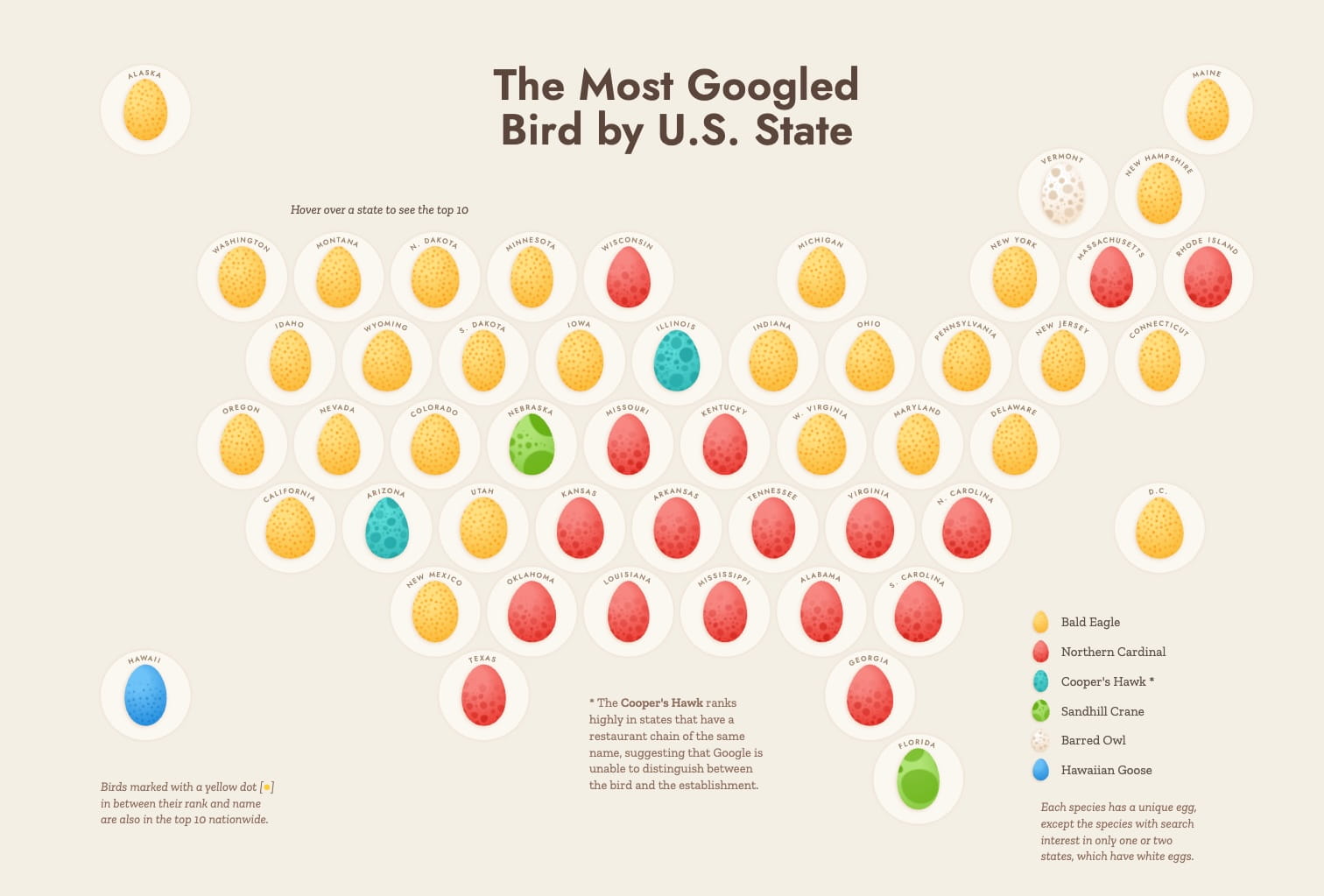 The most searched bird per US state