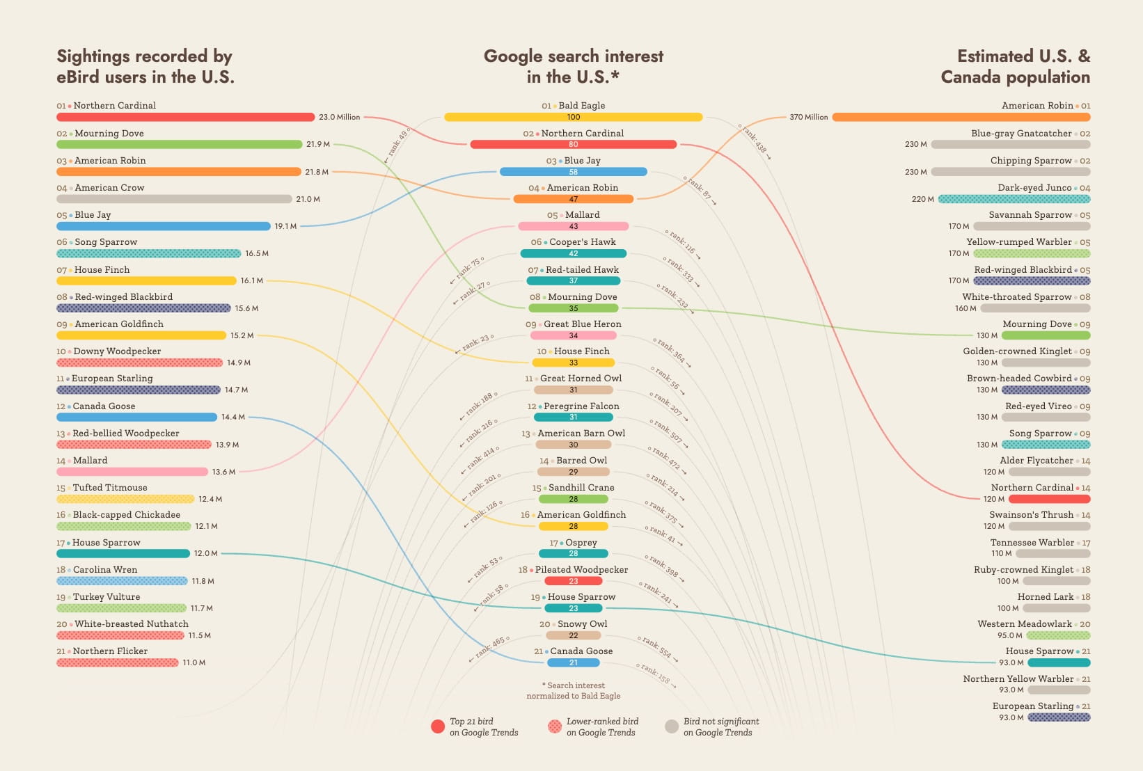 Revealing the Google Search interest versus eBird sightings and the populations of birds
