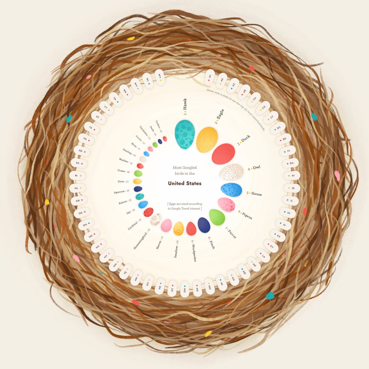 Most searched birds types in the US