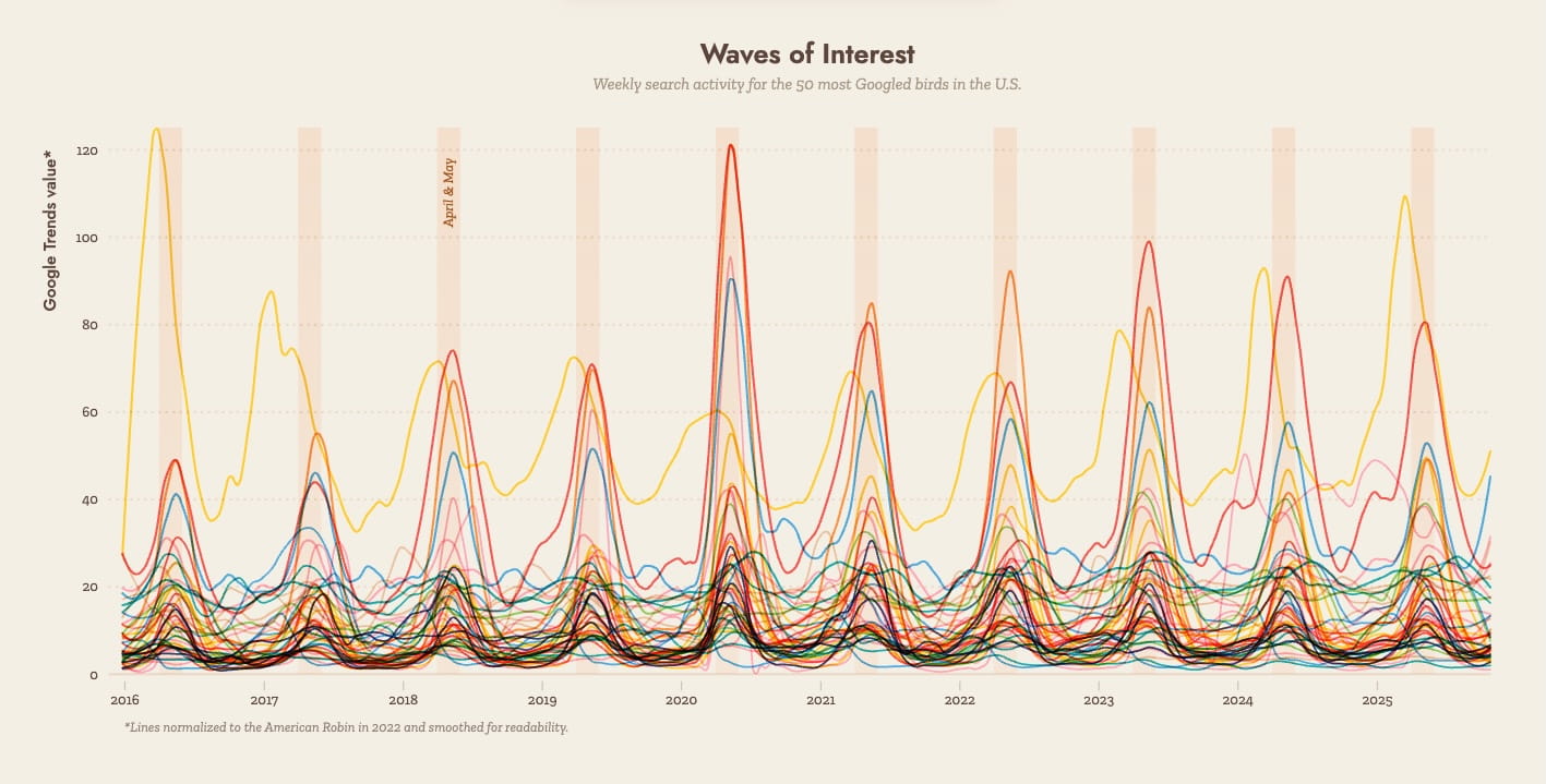 Showing the Google search trends of the top 50 birds over the past 10 years